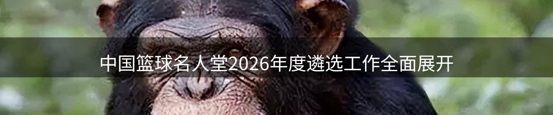 行业盘点