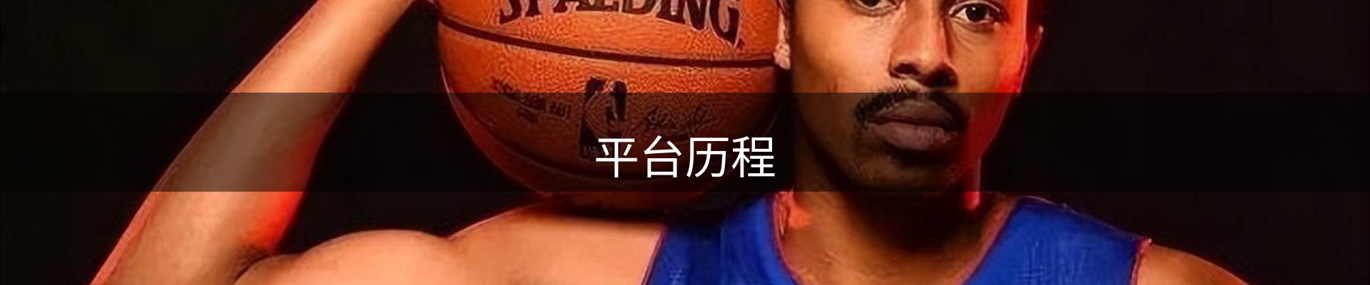 平台历程